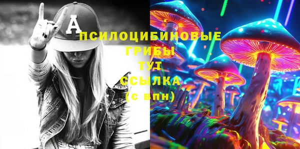 гидра Козельск