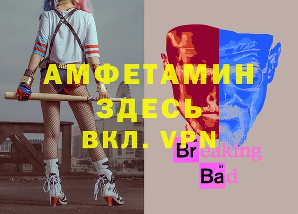 стафф Козловка