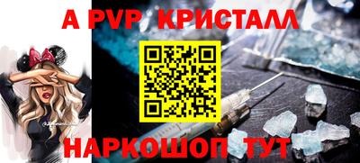 СК Кингисепп