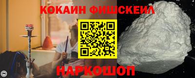 СК Кингисепп