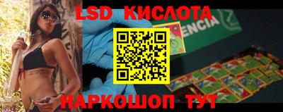 СК Кингисепп