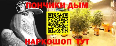 бошки Кимры
