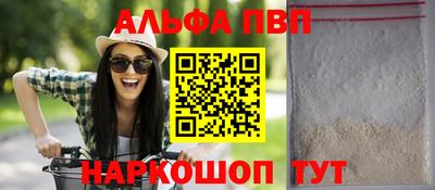 СК Кингисепп
