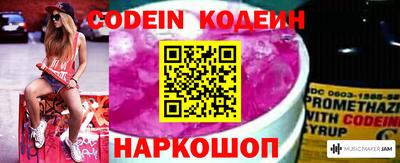 СК Кингисепп
