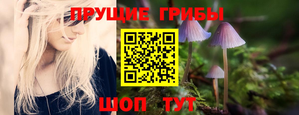 Псилоцибиновые грибы Cubensis Красноармейск